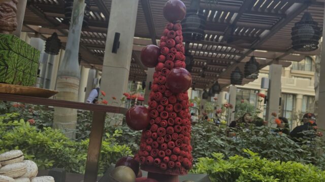Google Photo 5