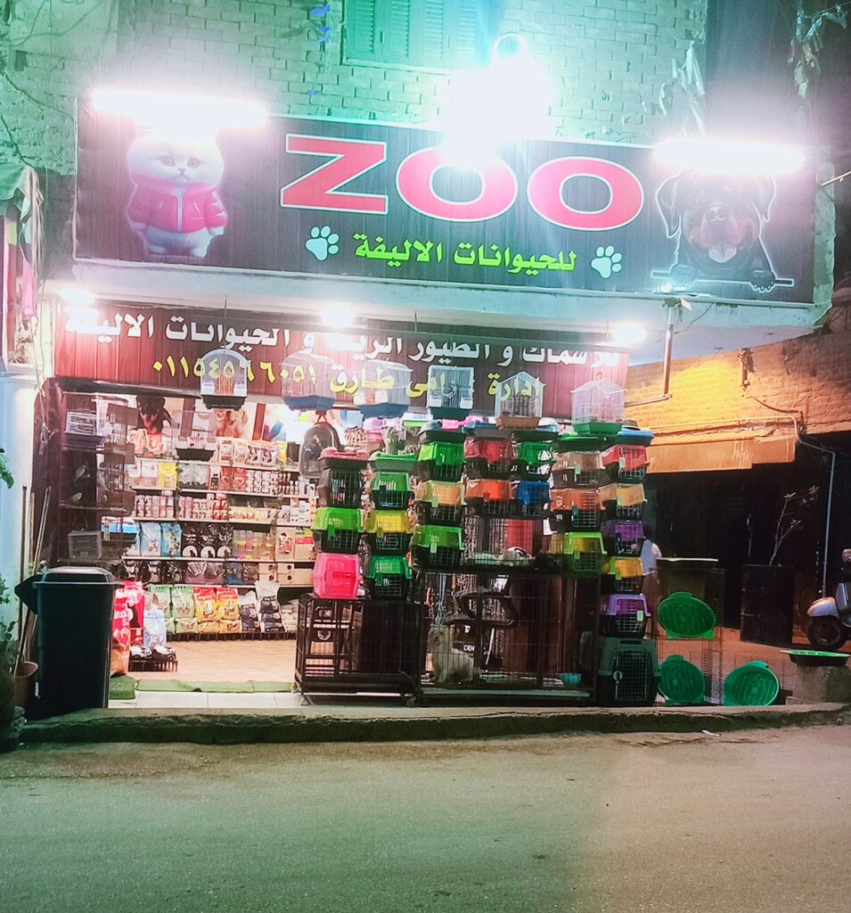 Zoo دي سي – أكل أكل قطط وكلاب