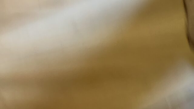 Google Photo 5