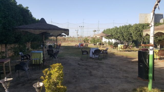 Google Photo 3