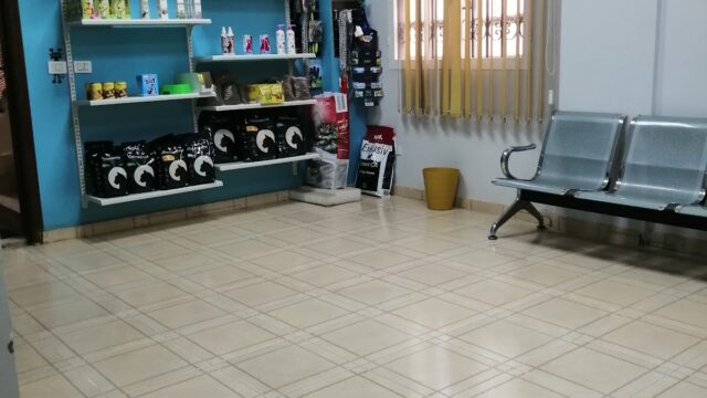 Google Photo 5