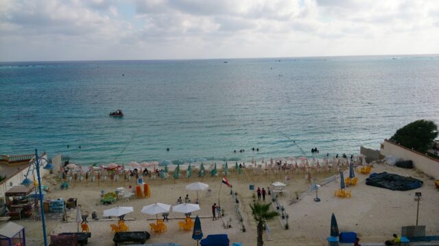 Google Photo 5