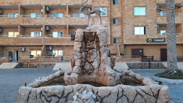Google Photo 1