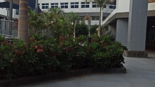 Google Photo 4