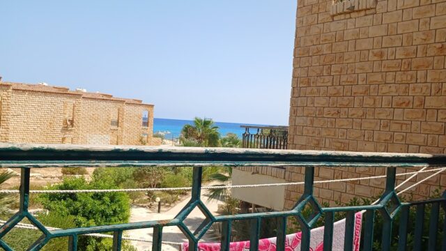 Google Photo 3