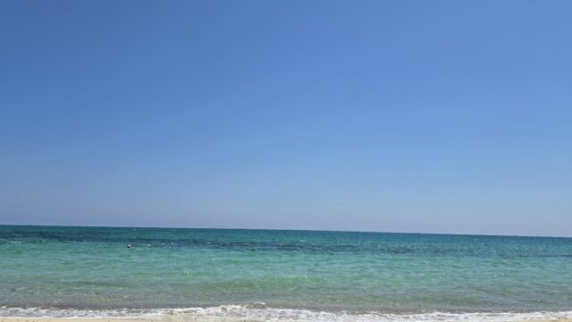 Google Photo 4