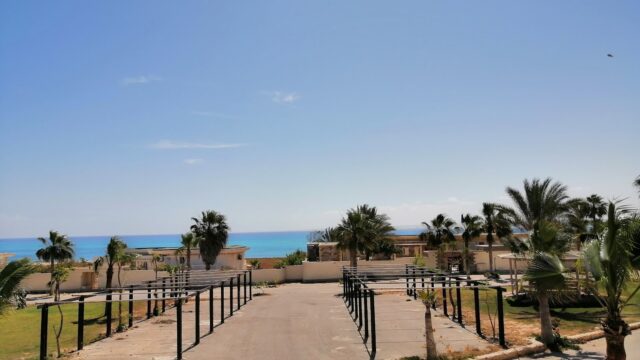 Google Photo 5