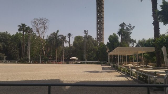 Google Photo 4