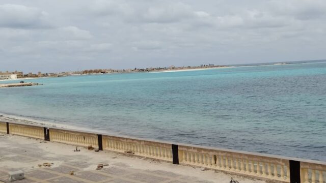 Google Photo 4