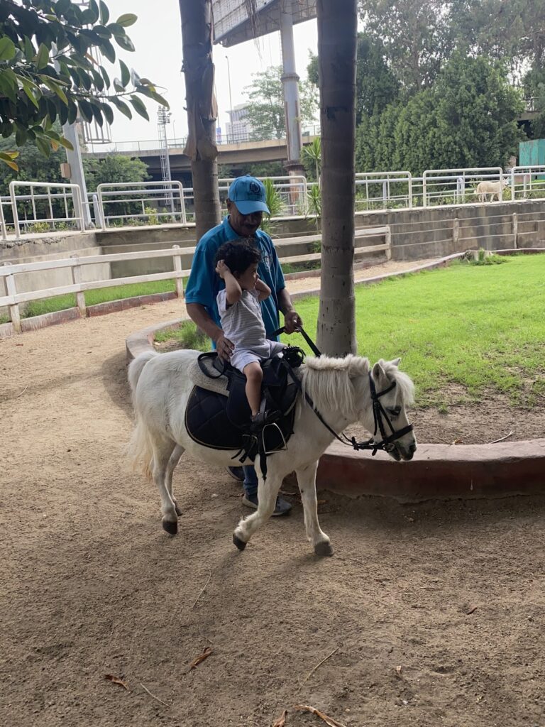 Al Jazeera Equestrian Club