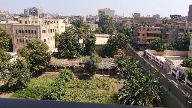 Google Photo 2