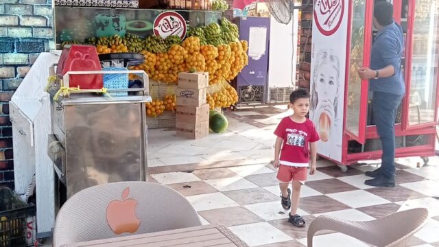 Google Photo 3