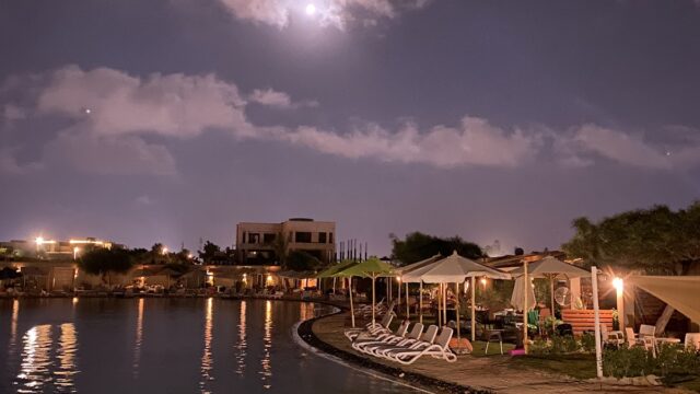 Google Photo 3