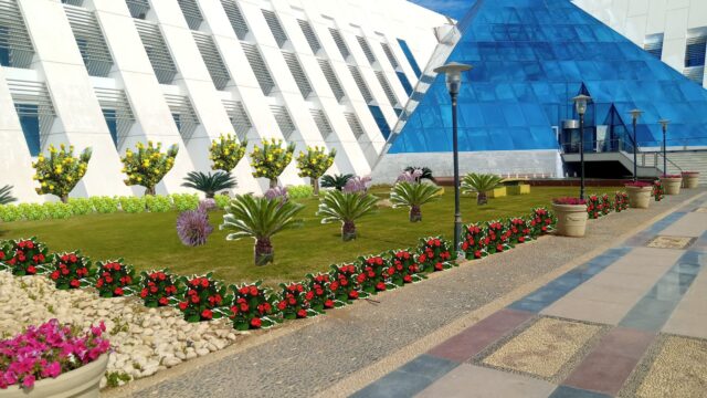 Google Photo 5