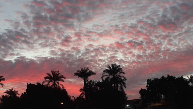 Google Photo 2