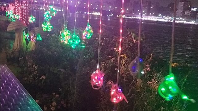 Google Photo 1