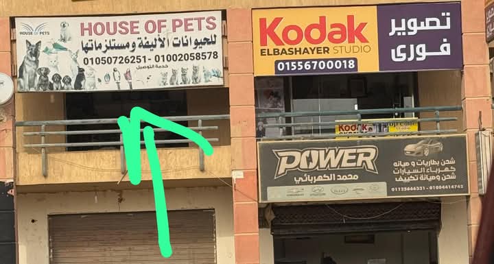 house of pets