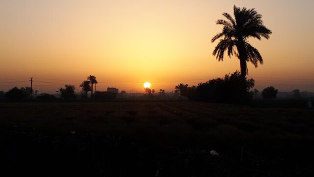 Google Photo 1