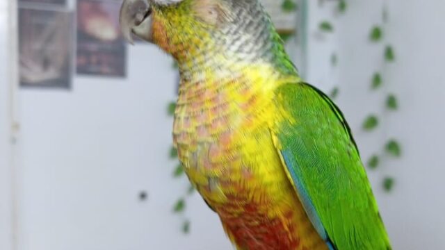 Google Photo 5