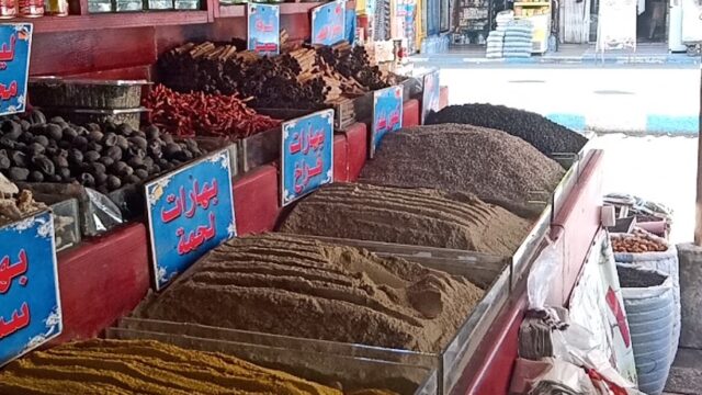 Google Photo 3