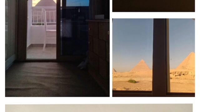Google Photo 3