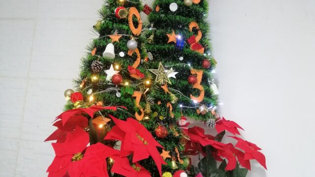 Google Photo 1