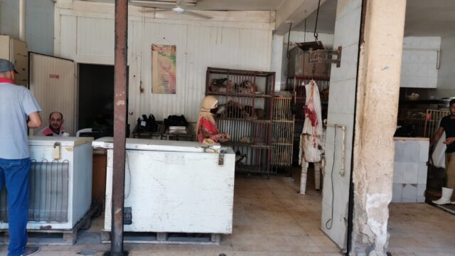 Google Photo 2