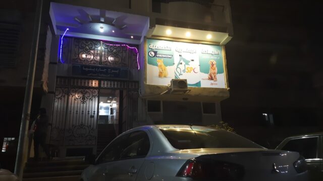 Google Photo 5