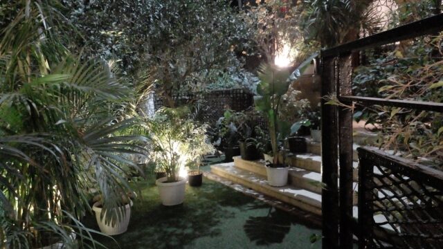 Google Photo 4
