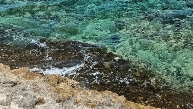Google Photo 5