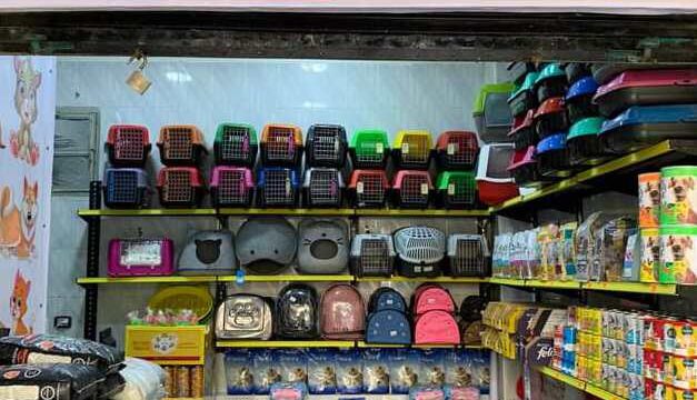 Google Photo 1