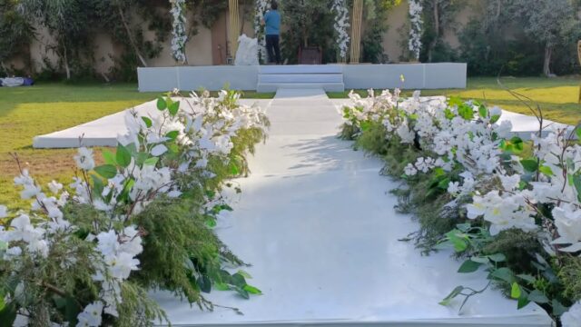 Google Photo 5