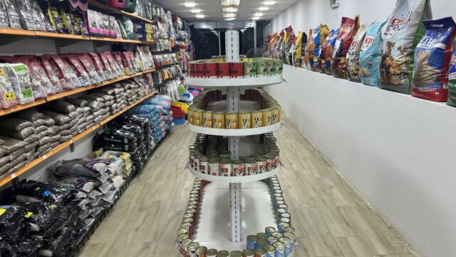 Google Photo 2