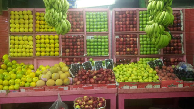 Google Photo 2