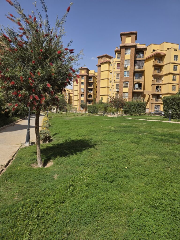 بالمز | مجموعة مرشدي