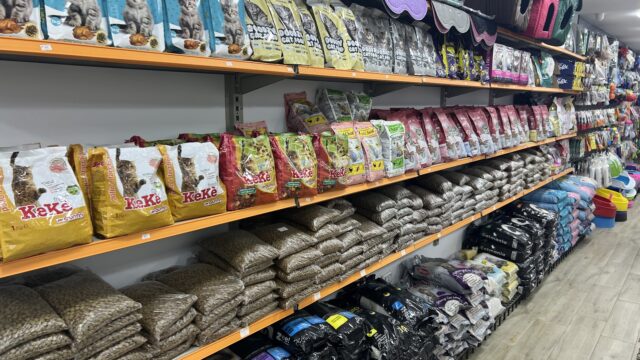 Google Photo 5