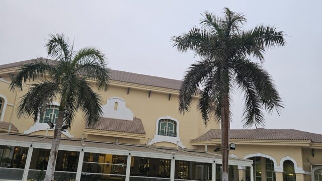 Google Photo 5