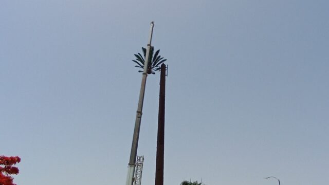 Google Photo 2