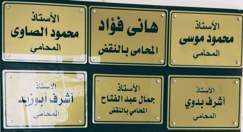 Hani Fouad, Attorney at Law, specializing in Cassation, Constitutional and Supreme Administrative Courts