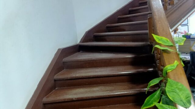 Google Photo 5