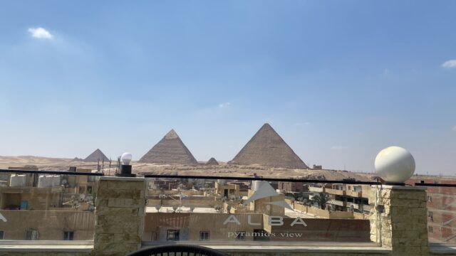 Google Photo 1