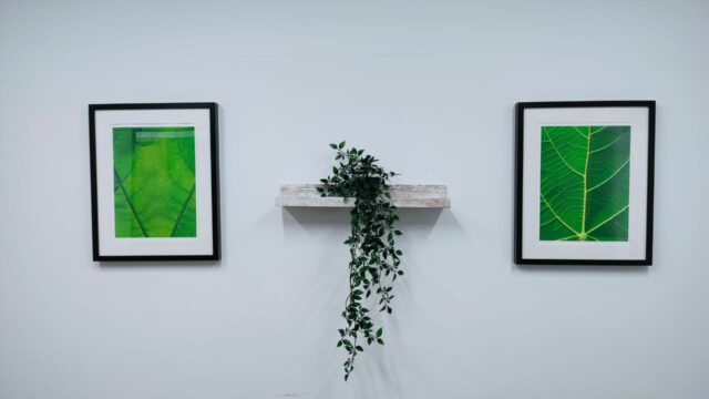 Google Photo 5