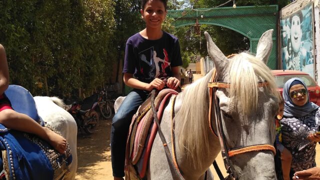 Google Photo 5