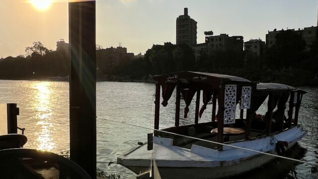 Google Photo 2