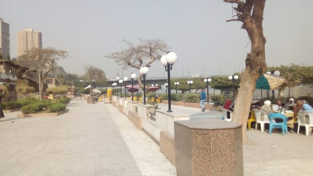 Google Photo 1