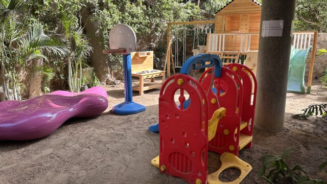 Google Photo 3