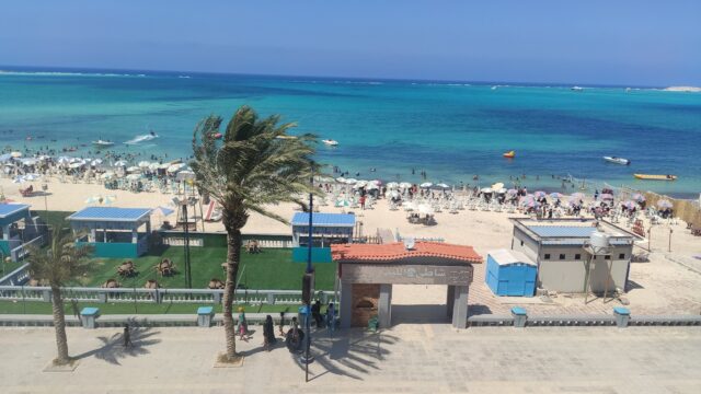 Google Photo 3