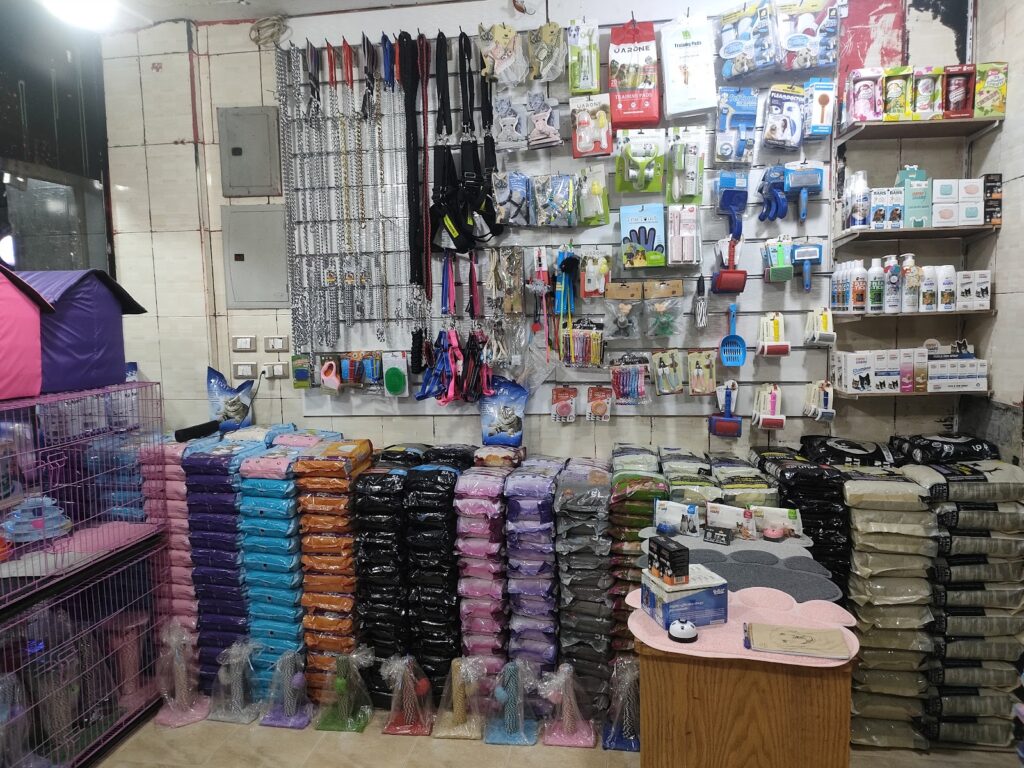 مدينة القطط