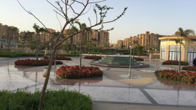 Google Photo 2