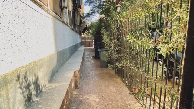 Google Photo 5